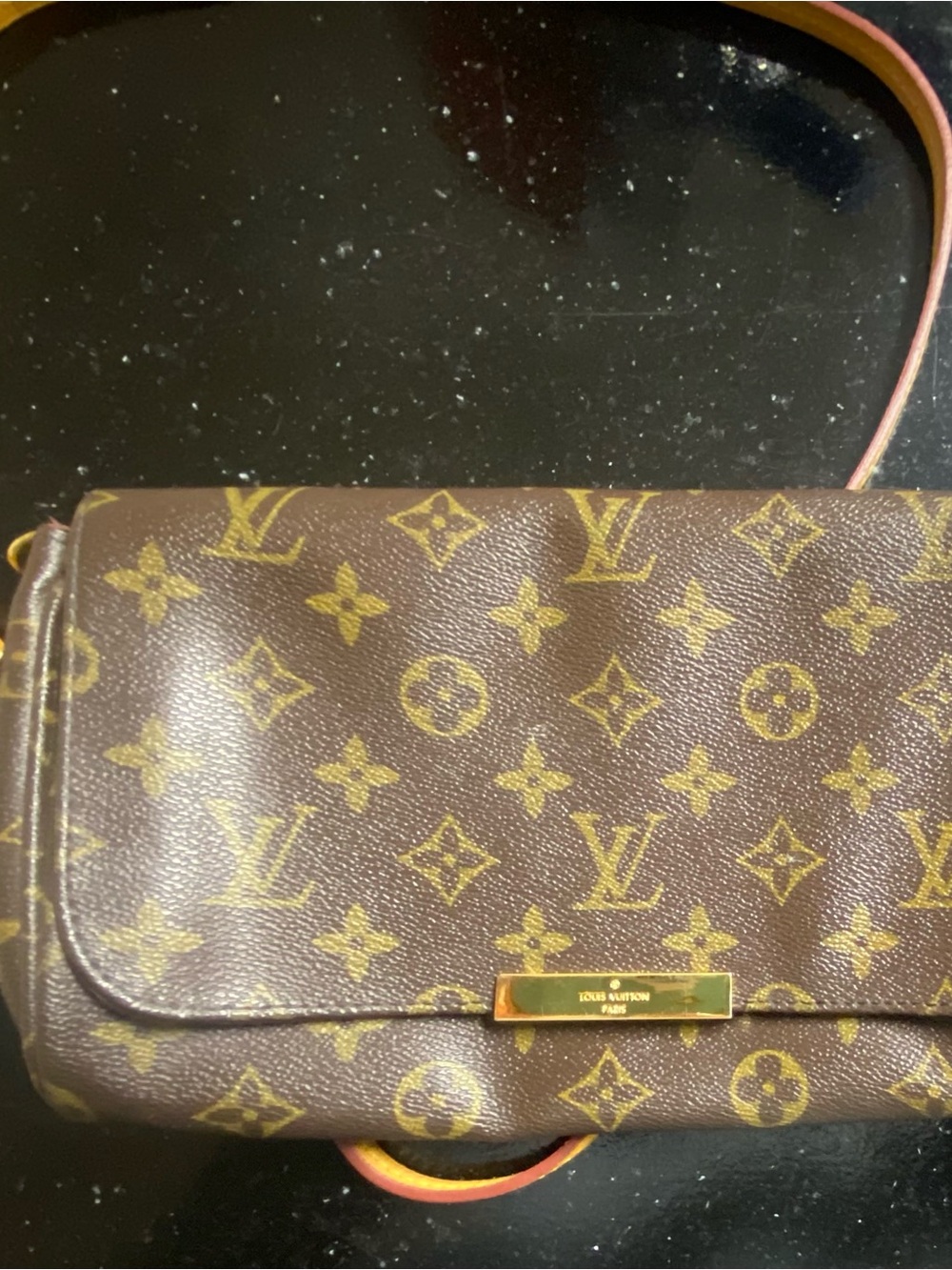 Louis Vuitton Monogram Favorite mm